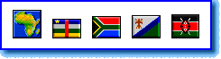 African Flag Icons display