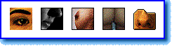 Body parts 1 icons display
