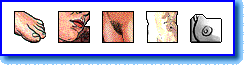 Body parts 2 icons display