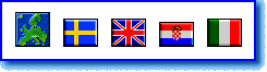 European Flag Icons display