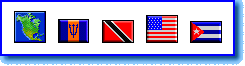 North American Flag Icons display