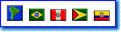 South American Flag Icons display