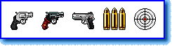 Smith & Wesson Icons display