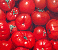 Tomater