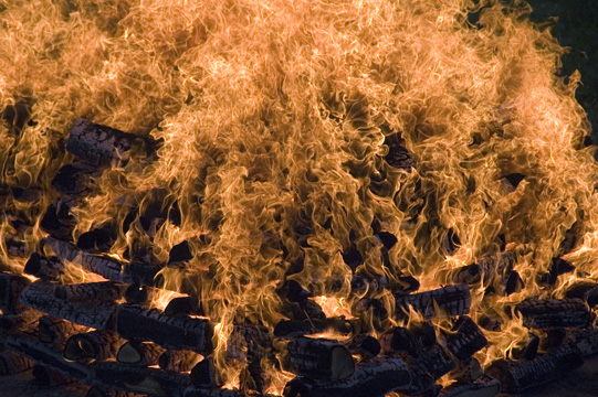 &Auml;ngsbackafestivalen