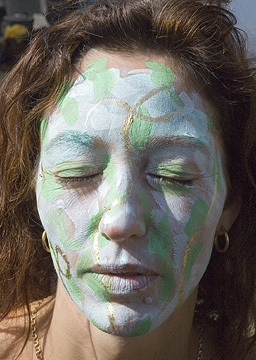 &Auml;ngsbackafestivalen