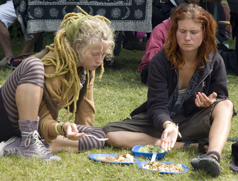 &Auml;ngsbackafestivalen