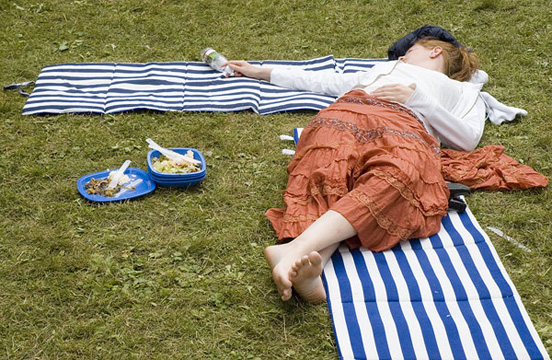 &Auml;ngsbackafestivalen