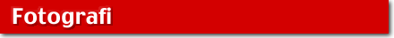 Fotografi